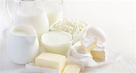 Incorporate Dairy Products
